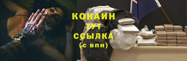 прущие грибы Медногорск